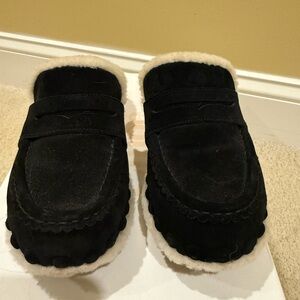 Chloe Cozy Black shearling clogs